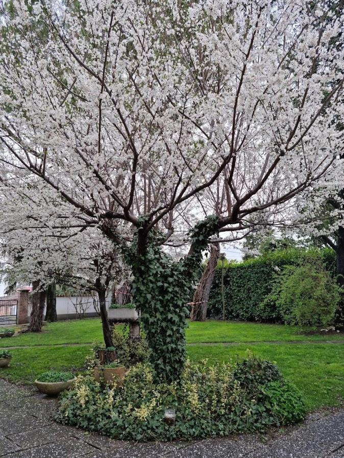 La Casa Di Gim Lugo (Ravenna)