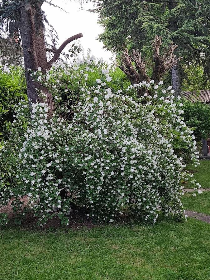 Homestay La Casa Di Gim Lugo (Ravenna)