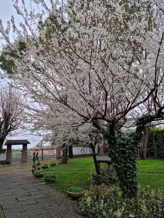 Homestay La Casa Di Gim