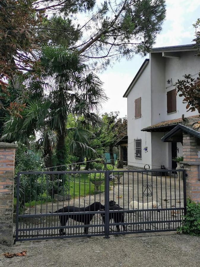 La Casa Di Gim * Lugo (Ravenna)