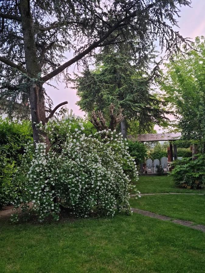 La Casa Di Gim Homestay Lugo (Ravenna)